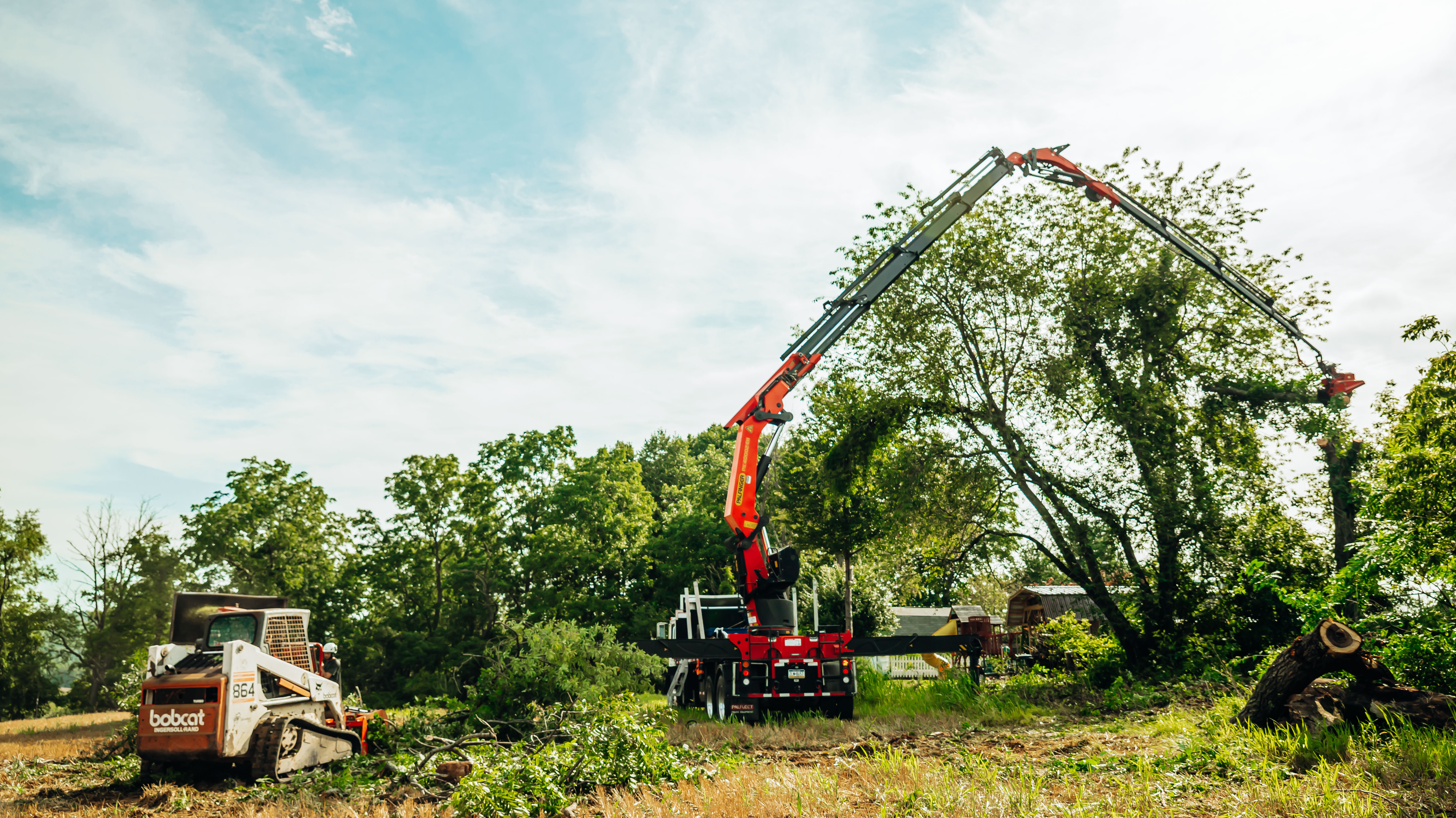 Loffredo's Tree Trimming & Removal Image